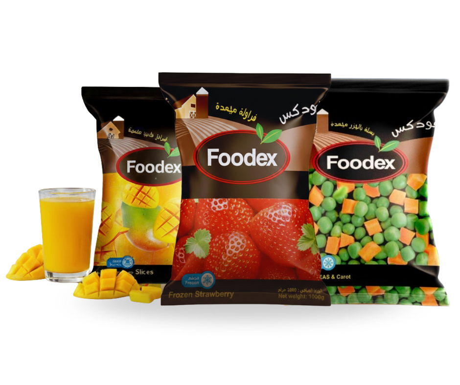 تصميم ويبست 1